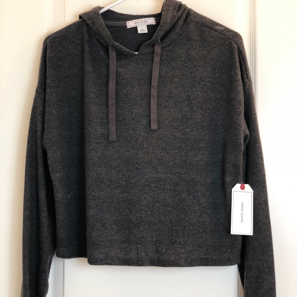Adam Levine Gray Long Sleeved Cropped Hoodie